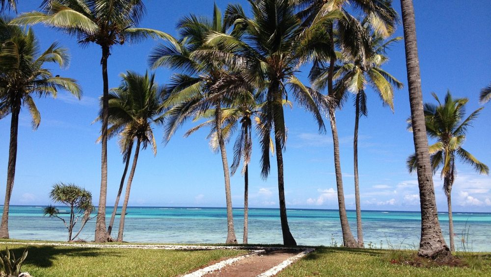 zanzibar, sea, palms, nature, tanzania