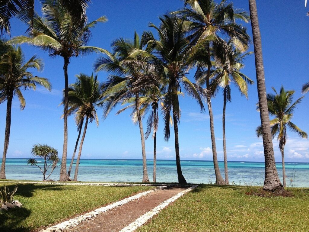 zanzibar, sea, palms, nature, tanzania