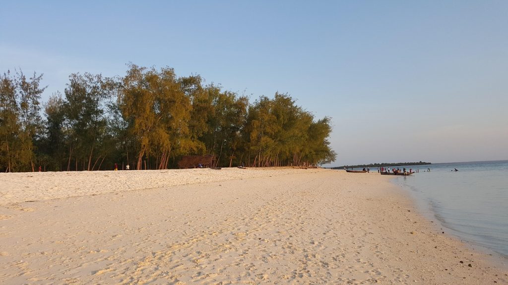 zanzibar, kendwa, nature, beach, travel