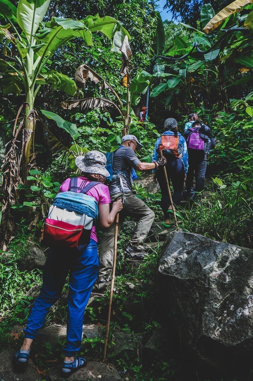 Trekking with Purpose hiking, nature, outdoor, trekking, forest, recreation, leisure, outdoors, activity