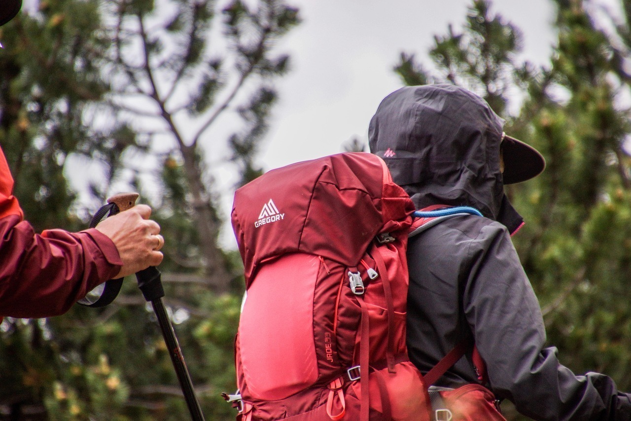 Trekking with Purpose backpack, hiking, trekking, walk, mountain, alps, nature, landscape, trail, excursion, summer, tourism, backpack, backpack, backpack, backpack, backpack, hiking, trekking, trekking