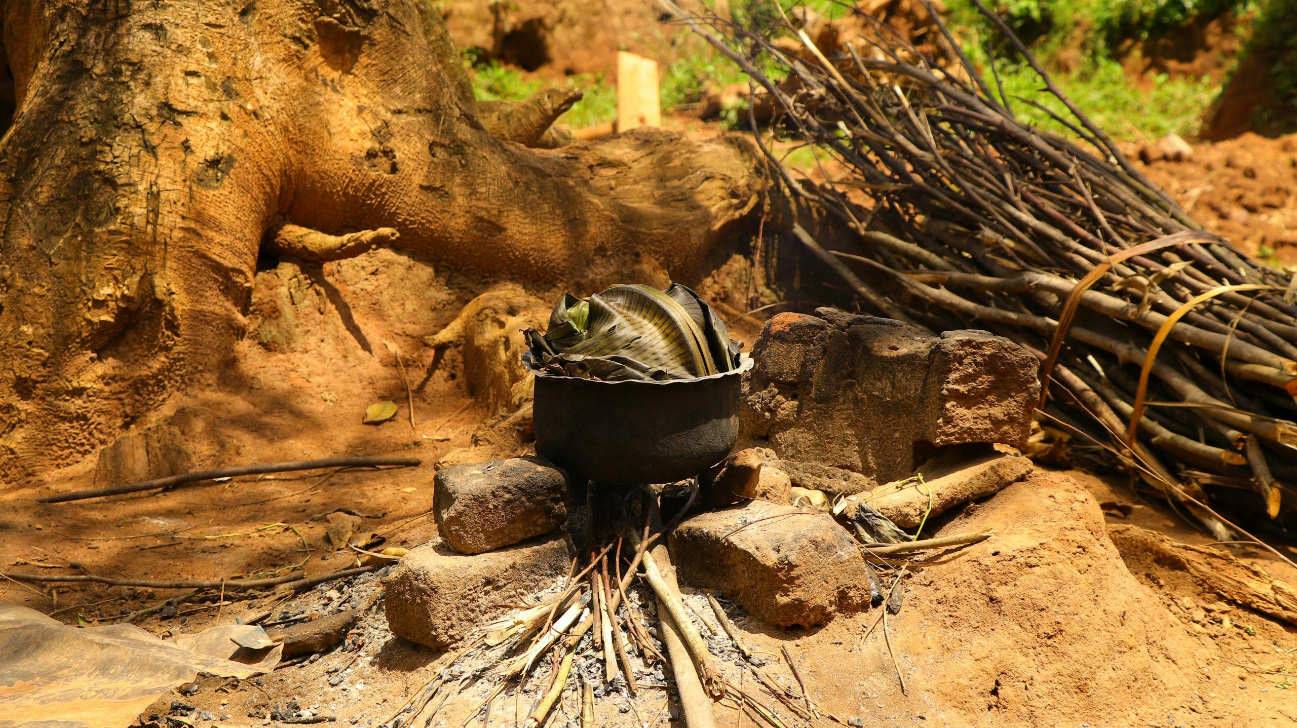 A pot on an outdoor fire under a large tree in rural Uganda.
