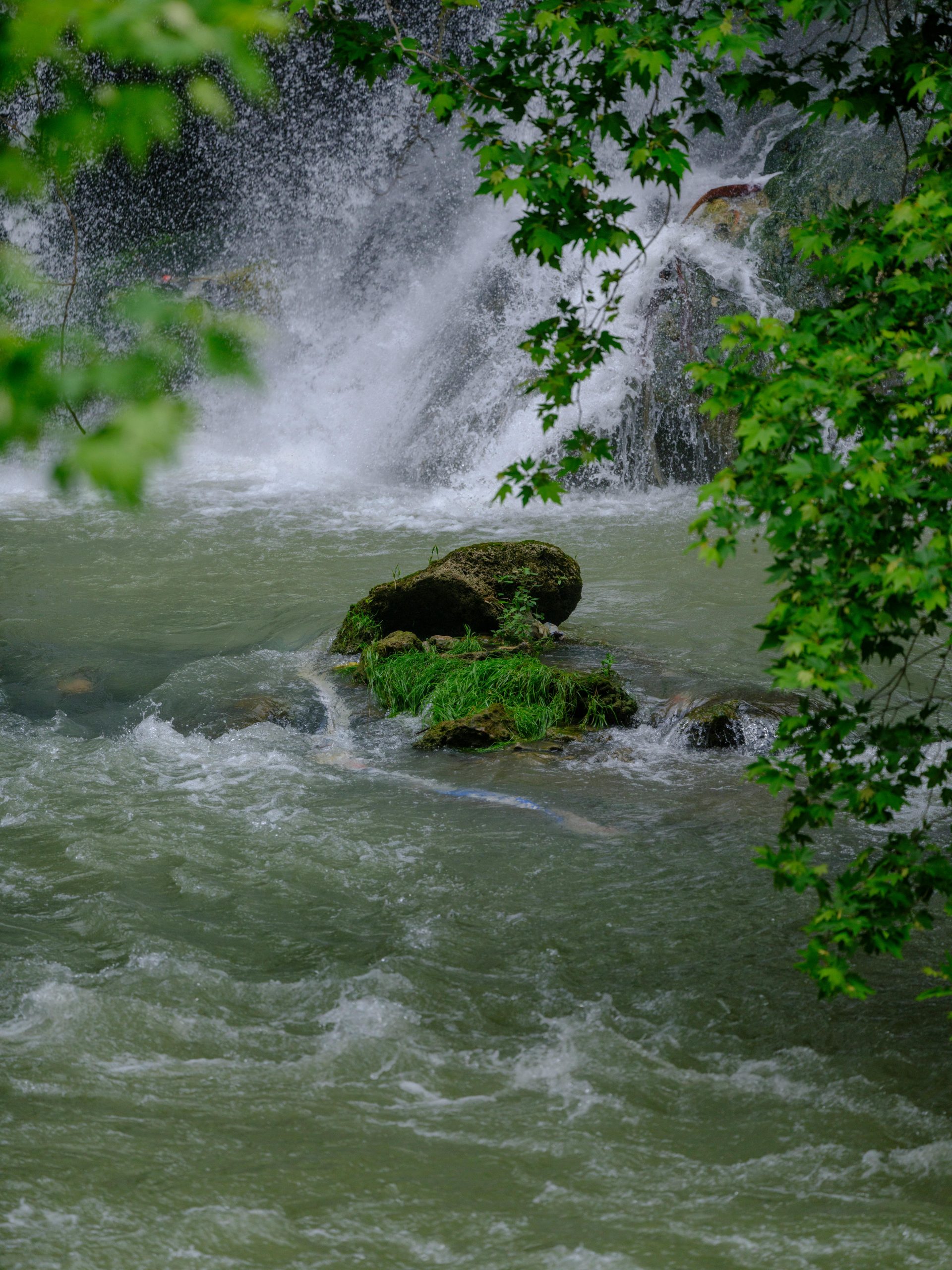 A picturesque waterfall cascading over moss-covered rocks amidst vibrant greenery.