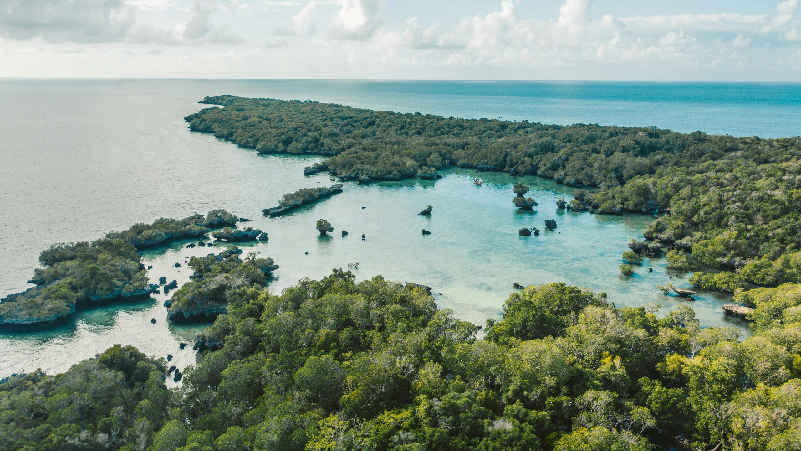 A stunning aerial view of Zanzibar's lush coastline and clear blue waters.