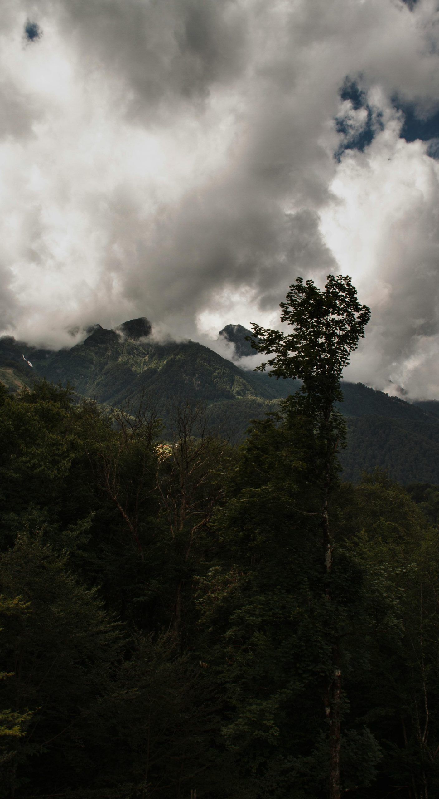 A dramatic mountain scene with lush greenery under a cloudy sky, perfect for nature enthusiasts.