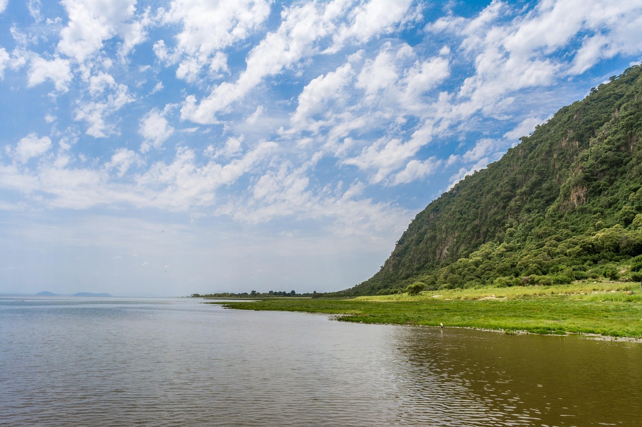 lake, manyara, africa, nature, national, tanzania, landscape, manyara, manyara, manyara, manyara, manyara