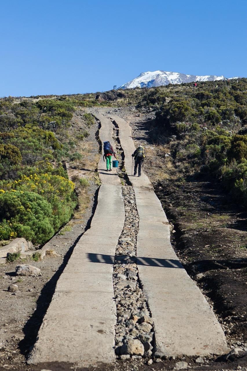 kilimanjaro, trail, africa, tanzania, walking, path, mountain, landscape, kilimanjaro, kilimanjaro, kilimanjaro, kilimanjaro, kilimanjaro