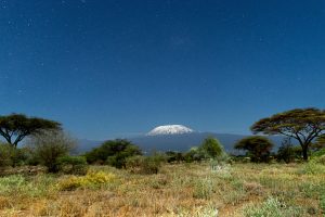 Kilimanjaro Trek & Northern Safari Combo 10 Days